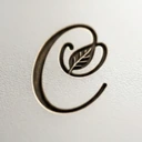 Logo de Carocare Wellness